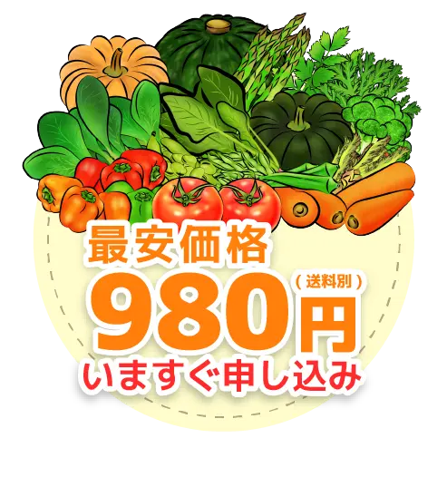 最安価格980円で今すぐ申し込む