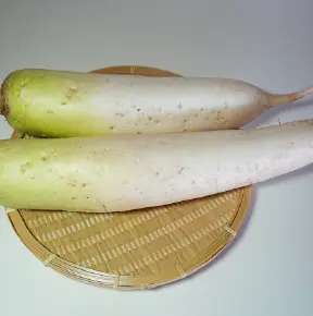 だいこんの画像