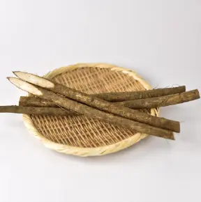 ごぼうの画像