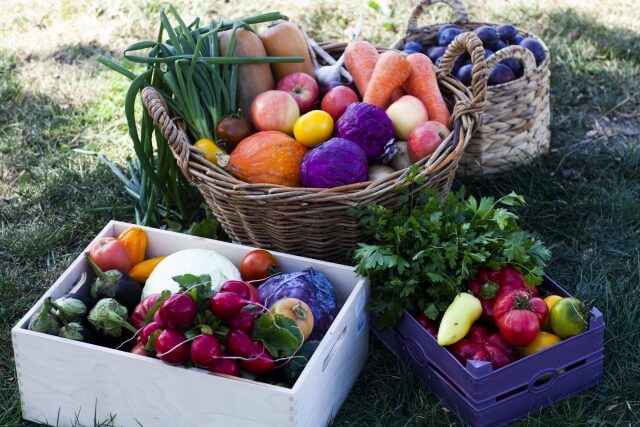 続けやすさがカギ！宅配野菜サブスクの新しいカタチ
