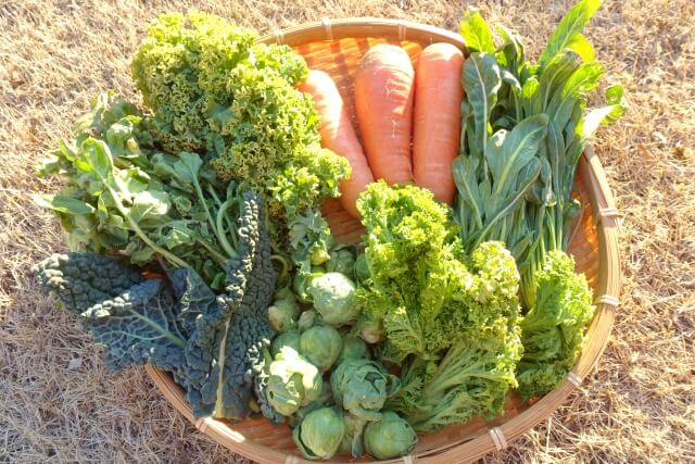 そもそも「ふぞろい野菜」って何？定期便で届く野菜の魅力とは